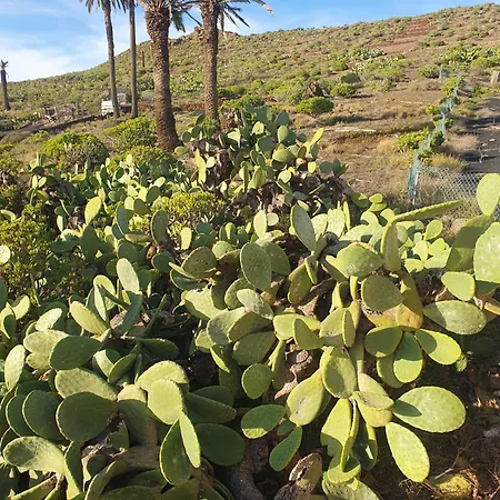 Holiday home Casa La Tunera, Country House, Haria, Lanzarote
