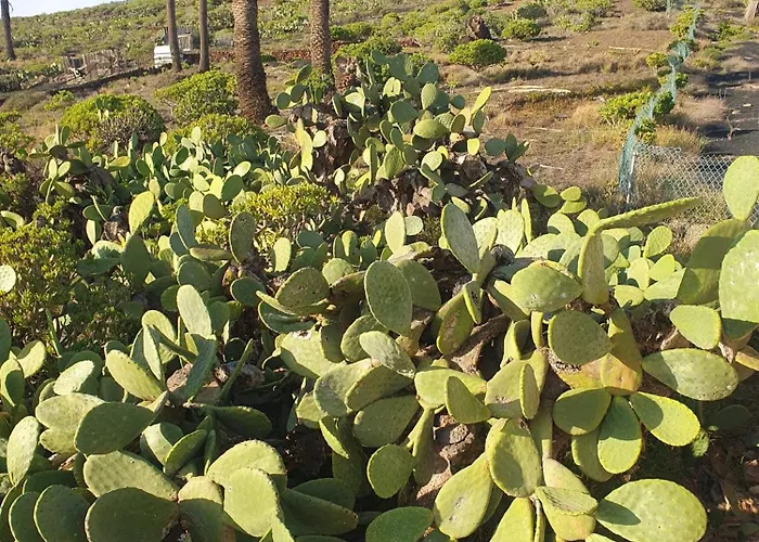 Holiday home Casa La Tunera, Country House, Haria, Lanzarote